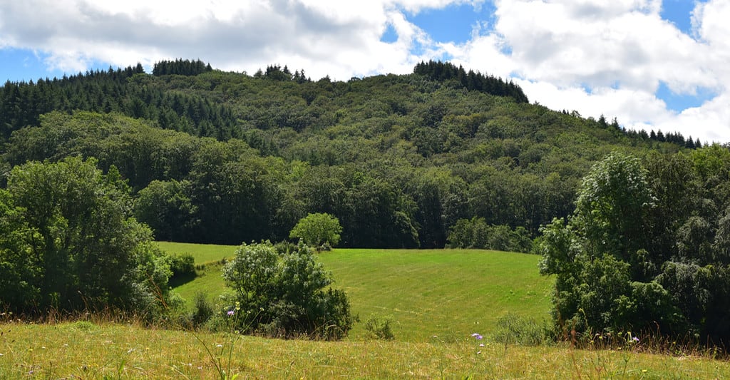 Parc naturel régional de Livradois-Forez